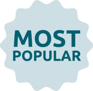 proce-badge Flow Accounting badge Most Popular for price table